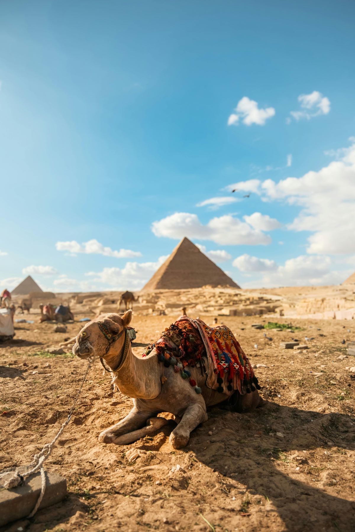 Egipt - obisk svetovnih znamenitosti