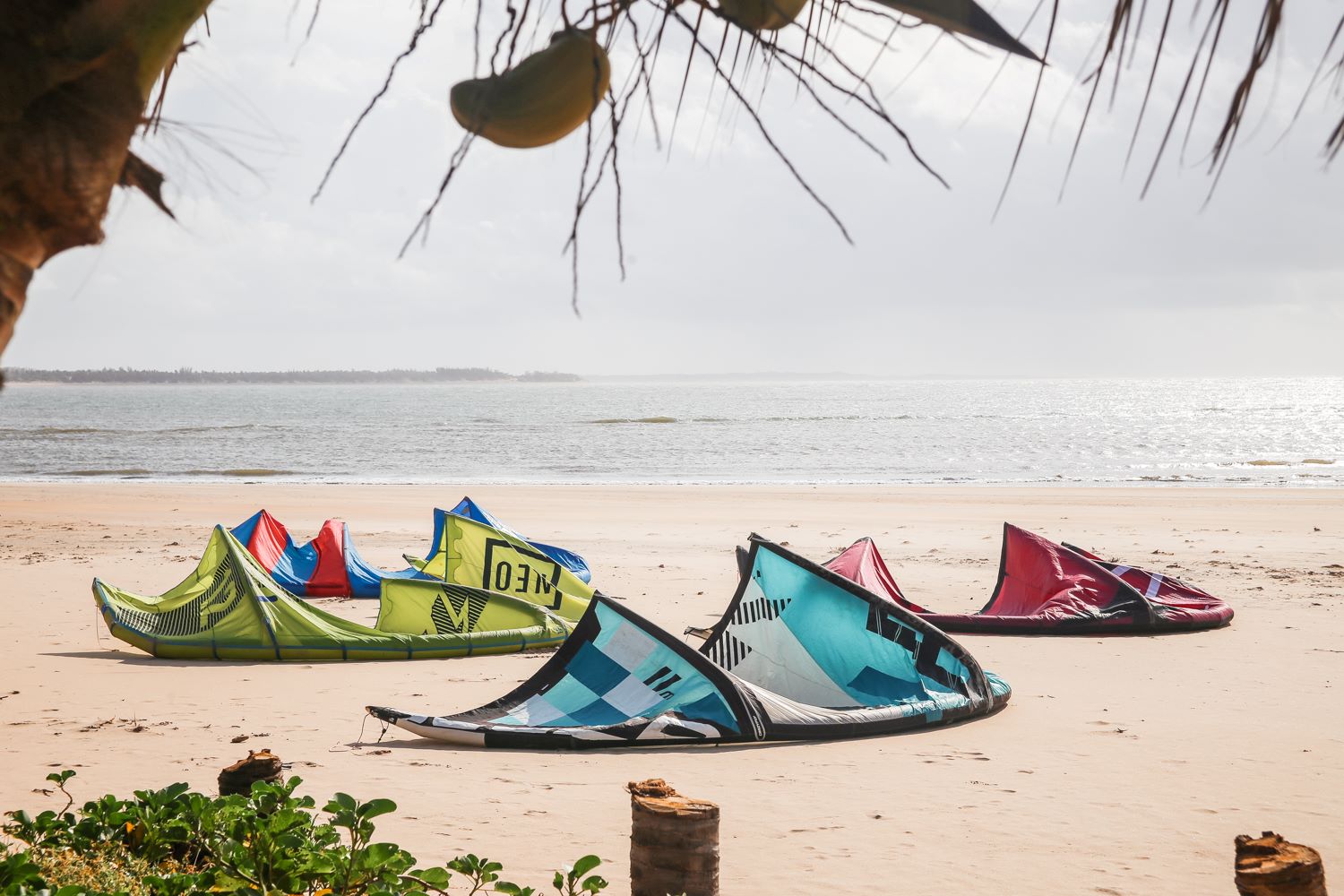 Vzhodnoafriška kajt in safari dogodivščina